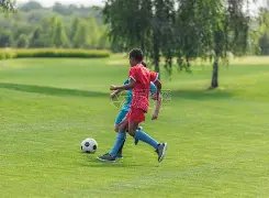 年青岛山东,乒乓球文化,交流之旅,永利高70net,永利高70net官网,永利高70net平台,永利高70net集团